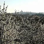 Masseria Nardelli Bed & Breakfast Locorotondo