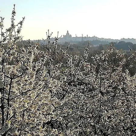 Masseria Nardelli Отель типа 