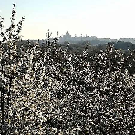 Masseria Nardelli Couette-café Locorotondo